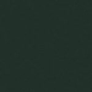 SANDERSON PAINT AMSTERDAM GREEN  66